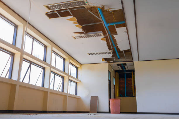 Best 24-hour water damage restoration  in Maineville, OH