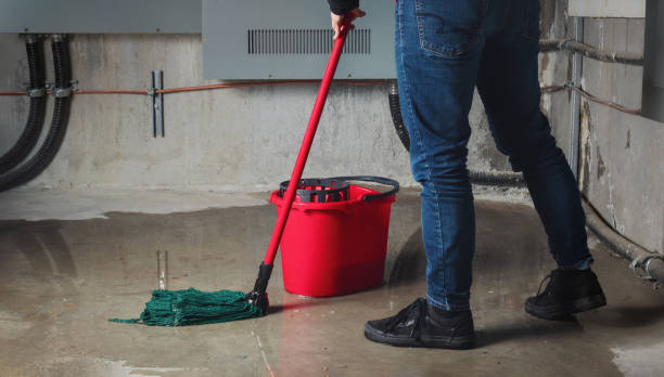 Best Emergency water damage restoration  in Maineville, OH