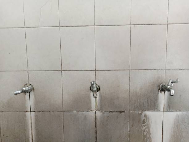 Best Water damage mitigation services  in Maineville, OH