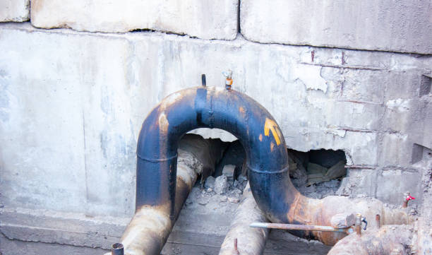 Best Water damage contractors near me  in Maineville, OH